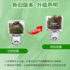 Moss Forest Secret Pine Tree Moss Aroma Diffuser Cup Natural Fireless Aroma Diffuser Ornament Home Fragrance Aroma Gift Long-lasting Fragrant