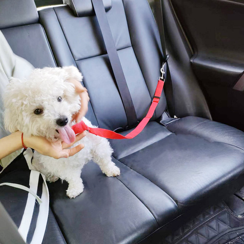 Amazon Pet Leash Car Safety Belt 2-in-1 Car Dual-Purpose Dog Belt Rear Seat Safety Rope