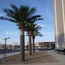 仿真海藻树大型加纳利海藻树假椰子树沙滩公园绿化软装工程造景树