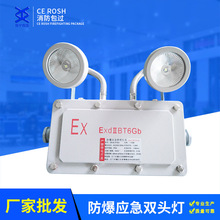 厂家双头防爆应急灯消防应急指示灯黄/白色90min新款推荐