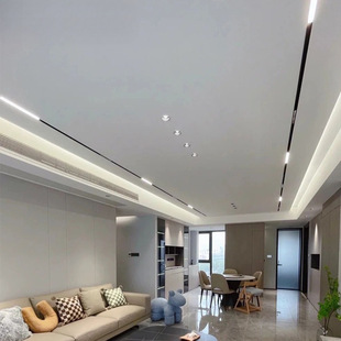 Lamp Living Room Lighting Main Drawing No Magnetic Suction Track Lamp Package Embedded Aluminum Home