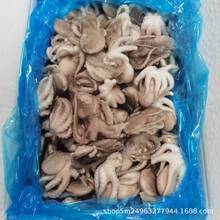 批发去脏盐磨八爪鱼小章鱼 去内脏干冰翻花章鱼中西餐酒店食材