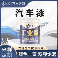 愛凱西自動車漆農機漆トラック漆金属漆高光漆欧曼藍斯太爾緑工業漆