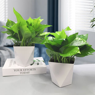 �G�}�����҃�ֲ�ﻨ�ܼ����·��k���҃�ˮ��͏d�G�j����ȩ�Gֲ