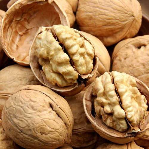 Xinjiang specialty Aksu paper-skinned walnuts thin-skinned walnuts snacks nuts roasted paper-skinned walnuts wholesale