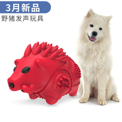 宠物用品新品亚马逊爆款 野猪发声狗玩具橡胶狗磨牙棒狗牙刷用品|ms