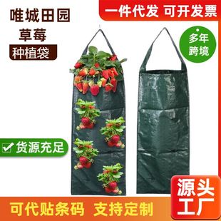 ��ݮ������ʽ��ݮ�Nֲ��8�ڶ�ڲ�ݮ���S��ֱ�Npe�Nֲ���羳����