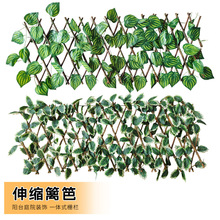 �羳�h�ʖř���s���ڼٻ�����ͥԺ�����o���~���ړ�ֲ�����ֲ��