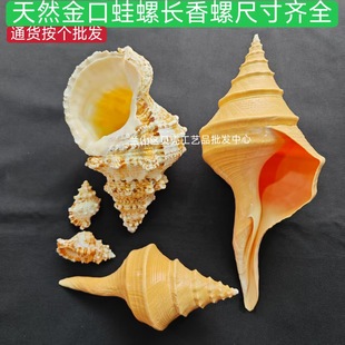 ��Ȼ��������L�����~��ˮ�����쾰�˱��ղ���Ȼؐ������ֱ�N���l