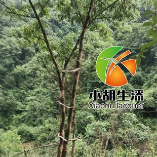 �P�ݹ������ٲ�����Ȼ�������������� �d����r�Լ��ɸ�