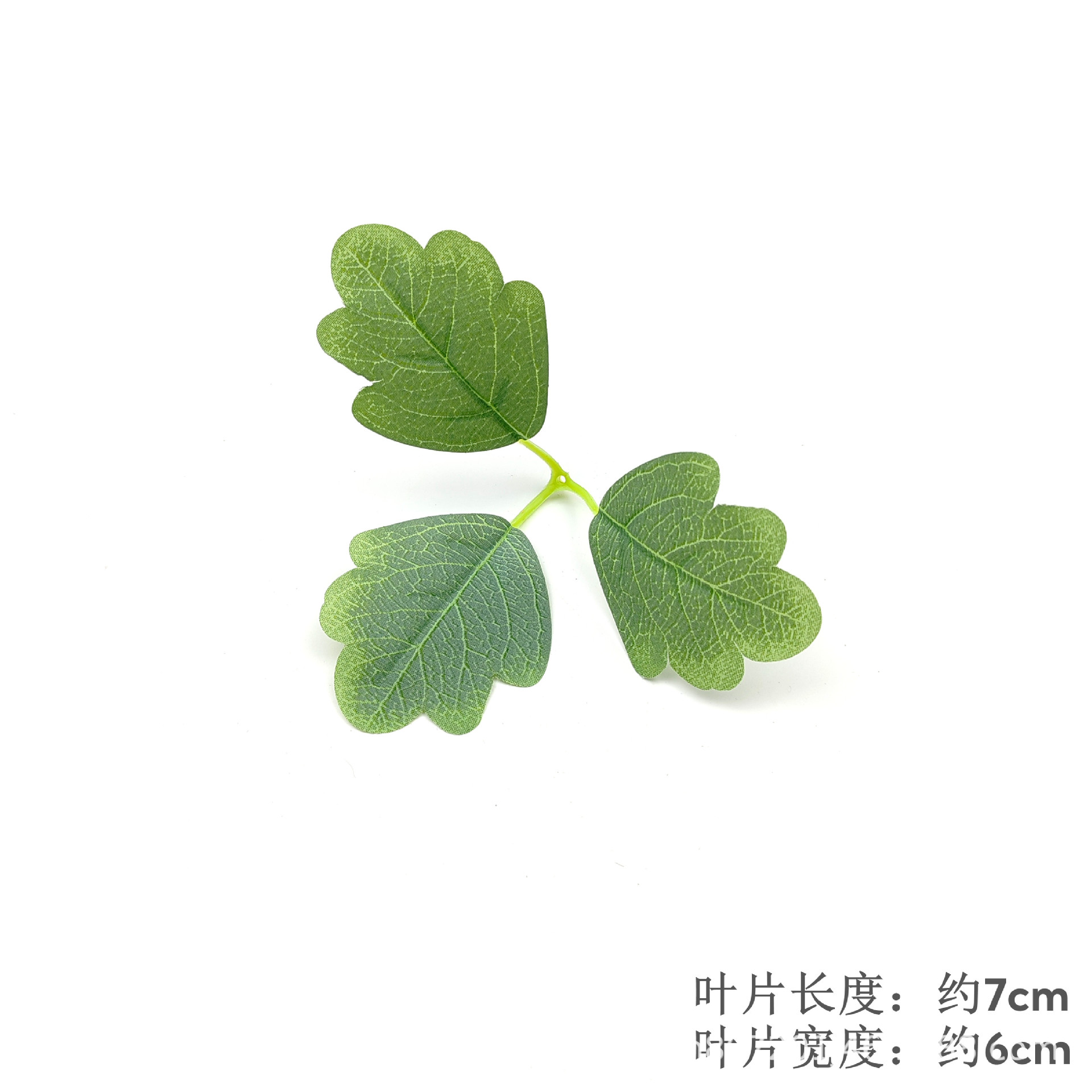 Chrysanthemum Leaf - Style 2