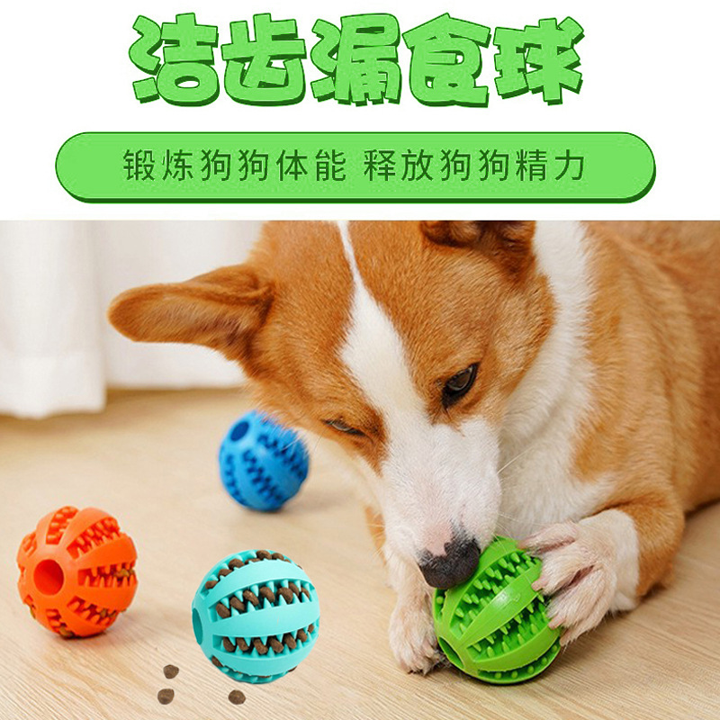 Perro fugas de comida bola puzzle mordida resistente dientes dorados corky para aliviar el aburrimiento juguetes de bolas elásticas al aire libre lanzamiento de entrenamiento