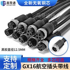 GX16 航空プラグワイヤー付き 2 コア 3 コア 4 コア 5 コア 6 コア 8 コア 10 コアワイヤー M16 航空プラグ延長ケーブル