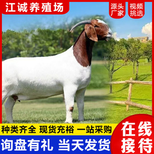 С�����w���N����ɽ��С��������Ŭ�ȁ���ɽ��N�����ɽ����