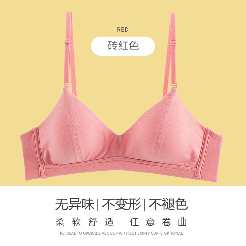 브릭 레드