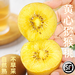 四川黄心猕猴桃奇异果黄肉季新鲜水果大果30枚整箱弥猴桃产地直批