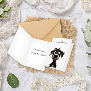 ���Q���ڱ��� ���L�ʲ�С����ͨ��Ƭ �Ȍ����������Ɍ���Ո��