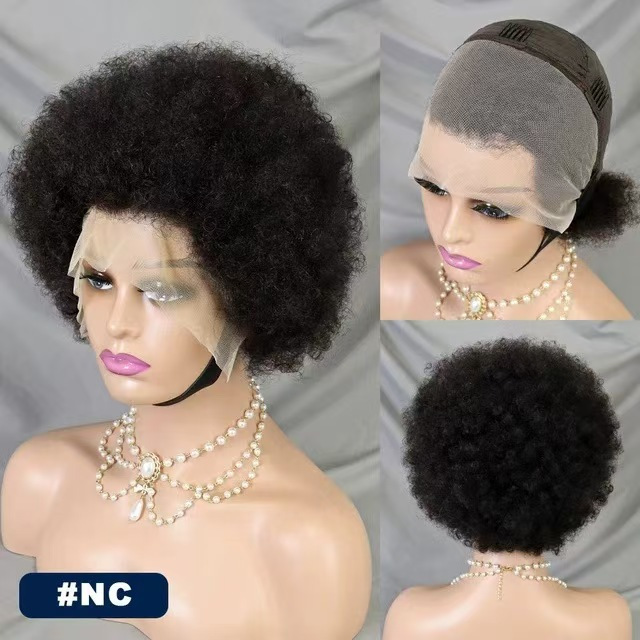 Small Afro Curly Wig, Afro Wig, Human Hair Wig, Lace Front Wig Small Afro Curly Wig, Afro Wig, Human Hair Wig, Lace Front Wig