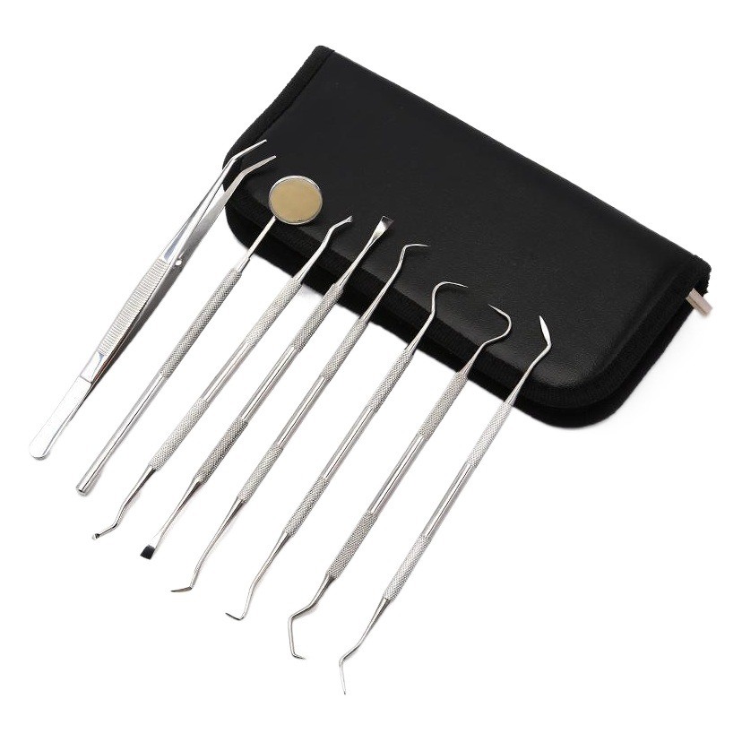 Stainless Steel Dentist Tools 8 Pieces suit Oral Care Dental Tools Mouth Loscope Probe Dental Stone Remover