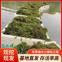 �S�ҹ������~�����������ˮ��ֲ���ˮ�|Ʒ�N�Rȫ���ش������l