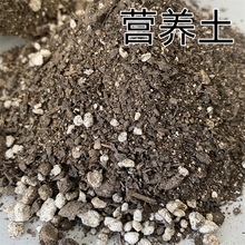 营养基质土可直接育苗发芽率高养花通用型花卉种植土有机营养土