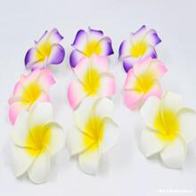 ��ˇȫ�º�߅�ȼ������u�����l�A ���� �����^�����������˚�l�