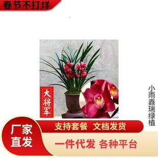 һ�����l�m�� ���� �t�F�� ���N���㽨�m�ļ��m �m���绨��������