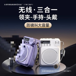 Large Wireless Portable Volume Speaker, Large Clip-On German Class, Free Shipping, Little Bee Amplifier, Lecture Free Shipping