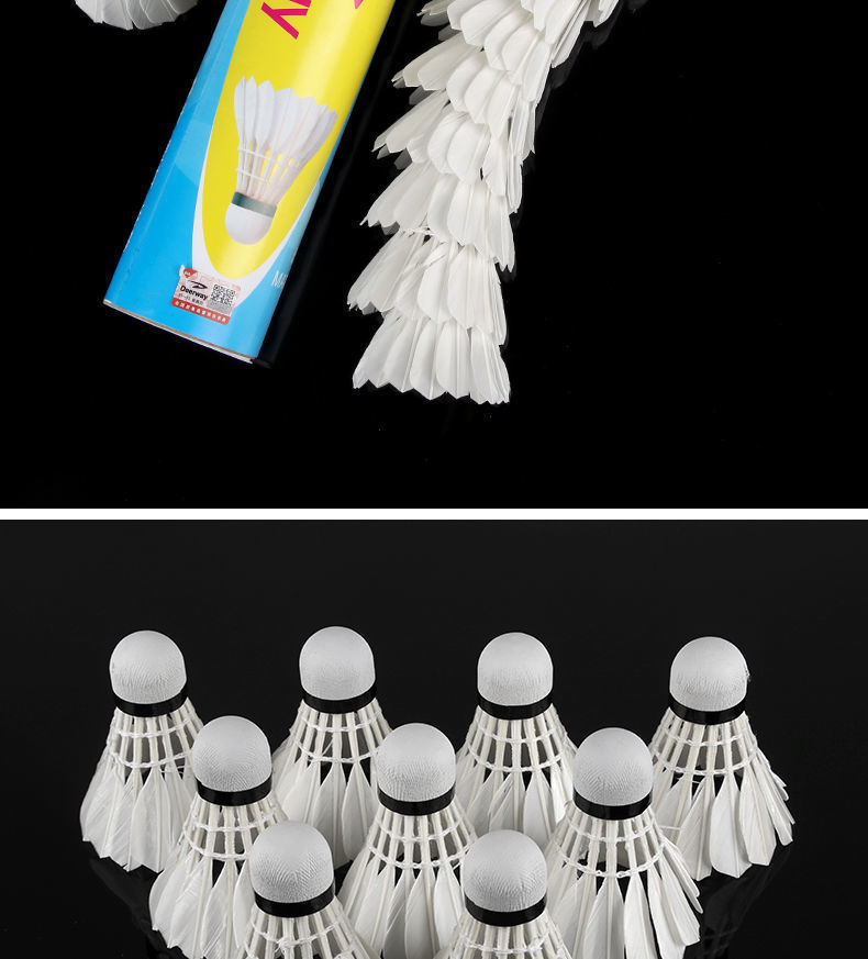 2f212855-88de-4b47-9a61-889aca71f213.jpe