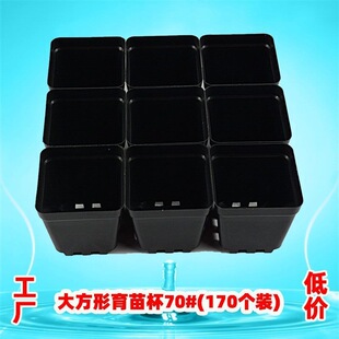 ��ʮ��һ�ق��b���ϻ������籭�I�B��С�ڷ�������Ѩ��P���lֱ�N