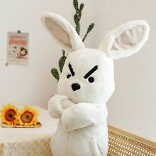 网红奋斗兔公仔问童子公仔生日礼物抱枕学生宿舍可爱兔子精品玩偶
