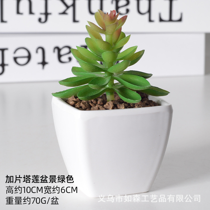 Simulación de plástico carnoso bonsai flor falsa combinación oficina interior escritorio plantas verdes pequeños adornos plantas artificiales al por mayor image 35