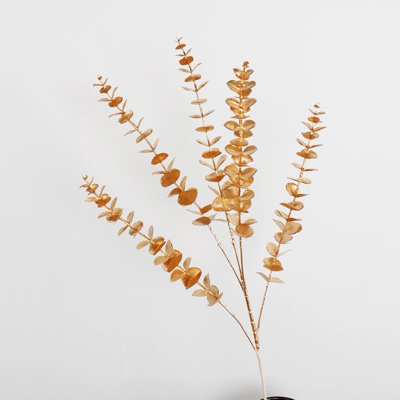 5叉多肉尤加利,高82,叶径3.1