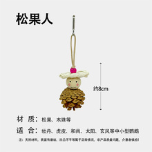鹦鹉啃咬松果玩具磨牙磨嘴天然松球解闷用品鸟笼装饰批发