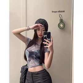 辣妹性感网纱透视短袖圆领恤罩衫女夏季新款美式印花短款小上衣