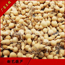 �S�����l�������J����[��С���J �ɵؔ�؛Դ�����^������J