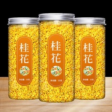 𻨸ɻ𻨲ɹrʳýˮȵĖ|ؼ~_