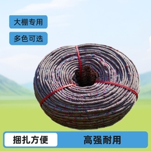 厂价供应10号花线绳盘绳制定各种型号大棚挂绳蔬菜吊秧股线捆扎