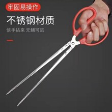 �S�X�A���q�X�~�Q�������P��s�������A�߼��L�з�A�������A����