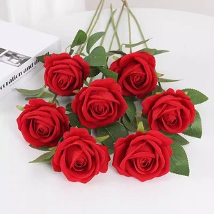 ���潁��õ�廨��֧�Ӻ񽁲���c�Ҿ����˹��b����ٲ����滨