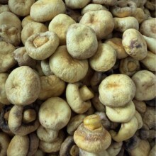 ��۶��p�߹��������㹽����߸�Óˮ�߲˸ɼ�ʳ��ʳ�S�����l���l