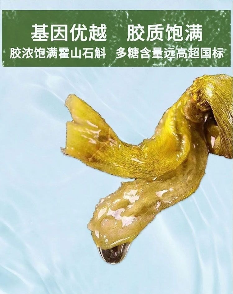 Huo Shan Tie Pi Shi Hu Dendrobium Fengdou Granules 500g Nourishing Herbal Tea Gift in use
