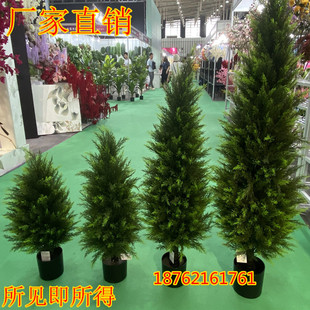 �����ɰؘ�Ȱش��;Gֲ����С���ɘ������}�Qֲ���b�����쾰��