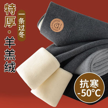 北方特厚800克羊羔绒打底裤女冬加绒加厚外穿大码高腰超厚保暖裤