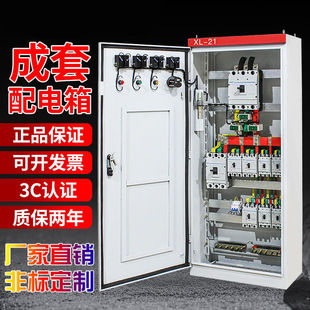 XL-21�����͉���늙��_�P�����������׃�l���ƙ��X���