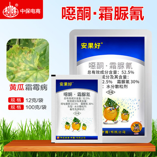 �d�r������52.5%�����ͪ˪�����S��˪ù���rș������