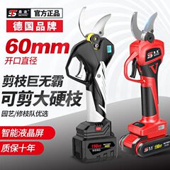 ドイツ電動剪定はさみ、枝剪定、無線果樹剪定、リチウム電池充電式庭園太枝剪定はさみ