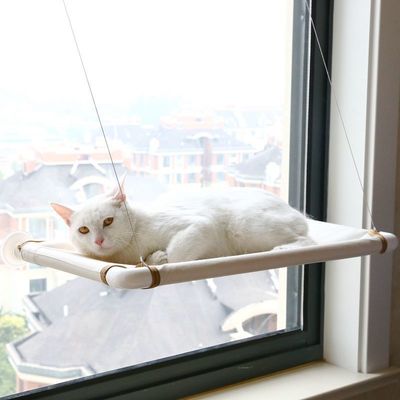 Kitty Hammock Sucker Cat litter Four seasons currency Windowsill Swing Pets Supplies Manufactor wholesale