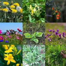 Ұ�˷N���߲˷N���ļ����Nˮ�۲��ѹ�Ӣ܇ǰ�ݲ��ѿ�����r��ͥԺ