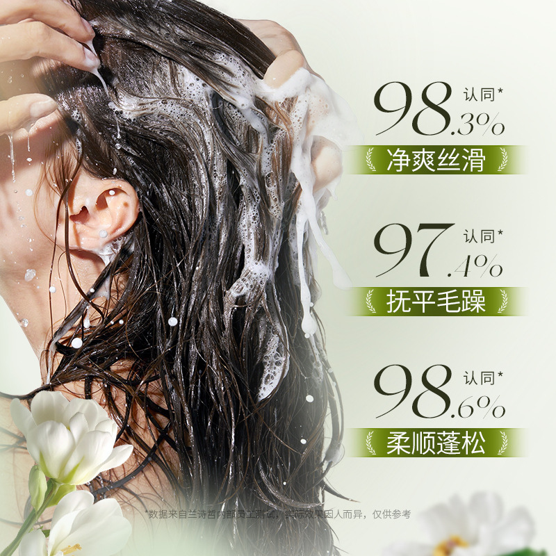 Lan Shi Zhe Shan Camellia Aminoácido Aroma Shampoo Limpieza Profundas para mejorar el cabello peludo Shampoo Lavar Kit image 3
